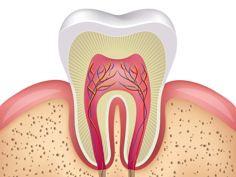 root-canal-image-1